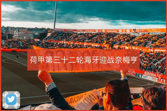 荷甲第三十二轮海牙迎战奈梅亨